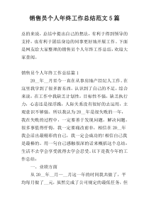 销售员个人年终工作总结范文5篇