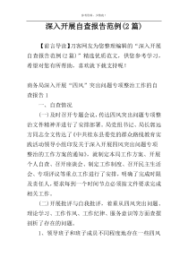 深入开展自查报告范例(2篇)