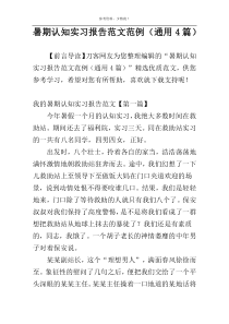 暑期认知实习报告范文范例（通用4篇）