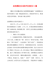 巡视整改自查评估报告5篇