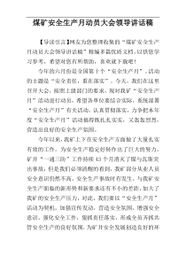 煤矿安全生产月动员大会领导讲话稿