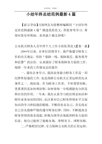 小结年终总结范例最新4篇