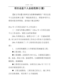 项目总监个人总结范例(2篇)