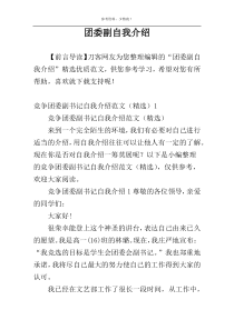 团委副自我介绍