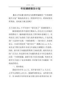 年初调研报告计划