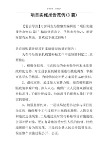项目实施报告范例(3篇)