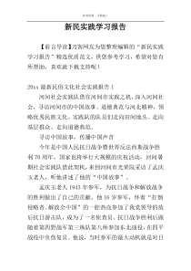 新民实践学习报告
