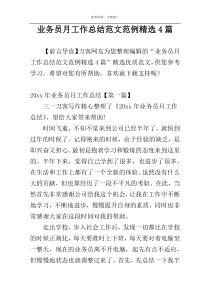 业务员月工作总结范文范例精选4篇