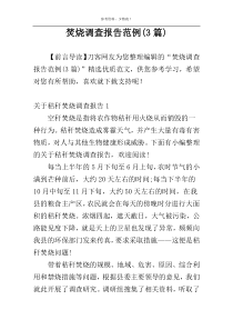 焚烧调查报告范例(3篇)