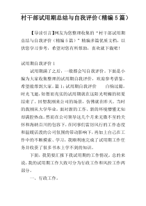 村干部试用期总结与自我评价（精编5篇）