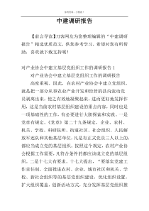 中建调研报告