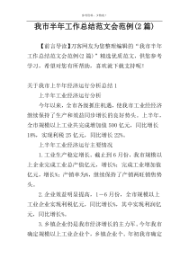 我市半年工作总结范文会范例(2篇)