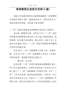 清理整顿自查报告范例(3篇)