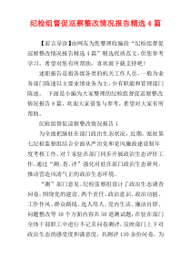 纪检组督促巡察整改情况报告精选4篇