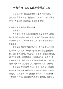 辛亥革命 社会实践报告最新4篇