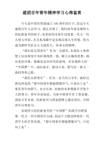 建团百年青年精神学习心得鉴赏