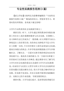 专业性实践报告范例(3篇)