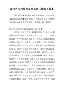 淘宝客实习报告范文范例【精编4篇】