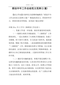 联创半年工作总结范文范例(2篇)