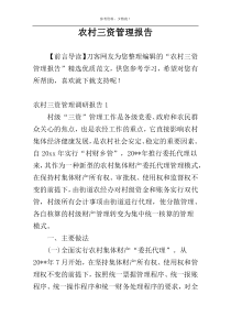 农村三资管理报告