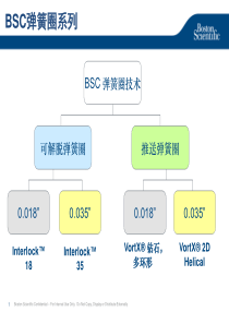 BSC弹簧圈系列