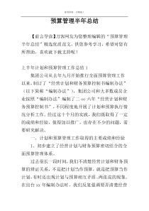 预算管理半年总结