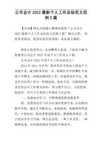 公司会计2022最新个人工作总结范文范例5篇