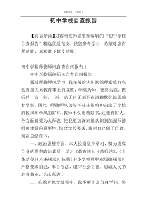 初中学校自查报告