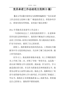 党员承诺工作总结范文范例(3篇)