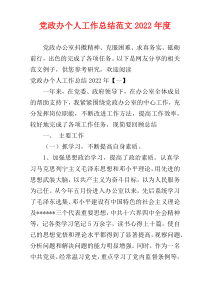 党政办个人工作总结范文2022年度