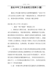 县社半年工作总结范文范例(3篇)