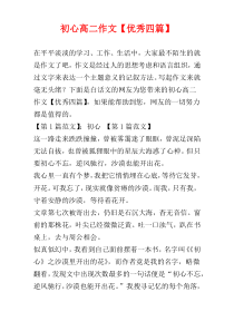 初心高二作文【优秀四篇】