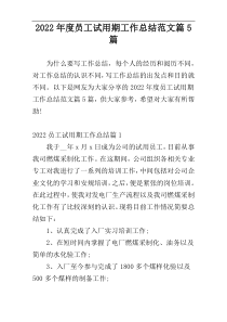 2022年度员工试用期工作总结范文篇5篇