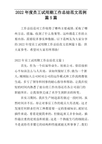 2022年度员工试用期工作总结范文范例篇5篇