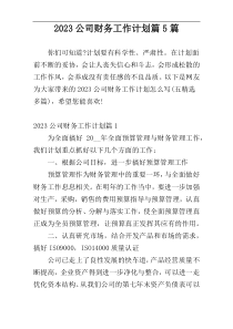 2023公司财务工作计划篇5篇