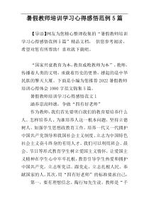 暑假教师培训学习心得感悟范例5篇