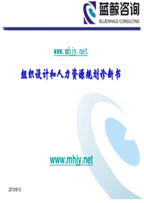 (机密资料)人力资源规划与组织设计诊断报告