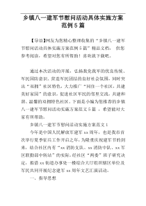 乡镇八一建军节慰问活动具体实施方案范例5篇