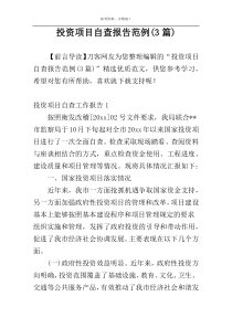 投资项目自查报告范例(3篇)