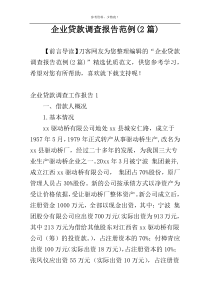 企业贷款调查报告范例(2篇)