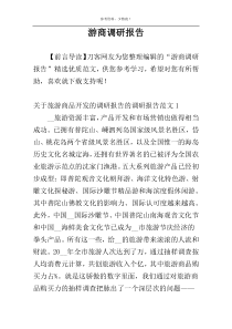 游商调研报告