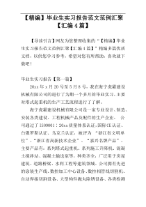 【精编】毕业生实习报告范文范例汇聚【汇编4篇】