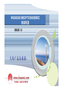 WG000205MSOFTX3000到BSC数据配置ISSUE10