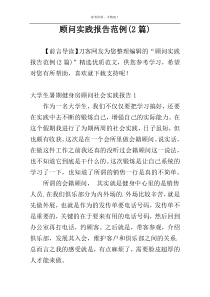 顾问实践报告范例(2篇)