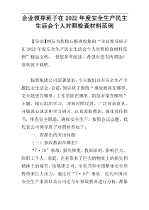 企业领导班子在2022年度安全生产民主生活会个人对照检查材料范例