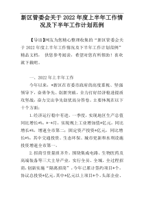 新区管委会关于2022年度上半年工作情况及下半年工作计划范例