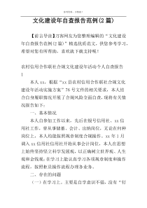 文化建设年自查报告范例(2篇)