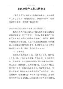 支部建设年工作总结范文