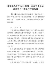 镇旅游办关于2022年度上半年工作总结范文和下一步工作计划范例