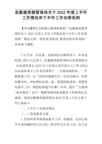 县数据资源管理局关于2022年度上半年工作情况和下半年工作安排范例